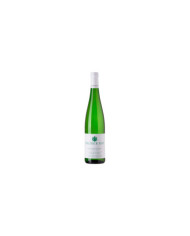 White wines  Müller Thurgau Valle Isarco Alto Adige DOC 2021 - Pacherhof 14,40 â‚¬ White wines  Müller Thurgau Valle Isarco Alto Adige DOC 2021 - Pacherhof 14,40 â‚¬
