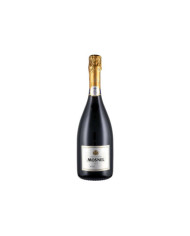 Vini Spumanti  Franciacorta Extra Brut EBB DOCG - Mosnel 44,30 €