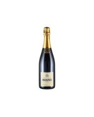 Vini Spumanti  Franciacorta Brut Saten DOCG - Mosnel 27,20 €