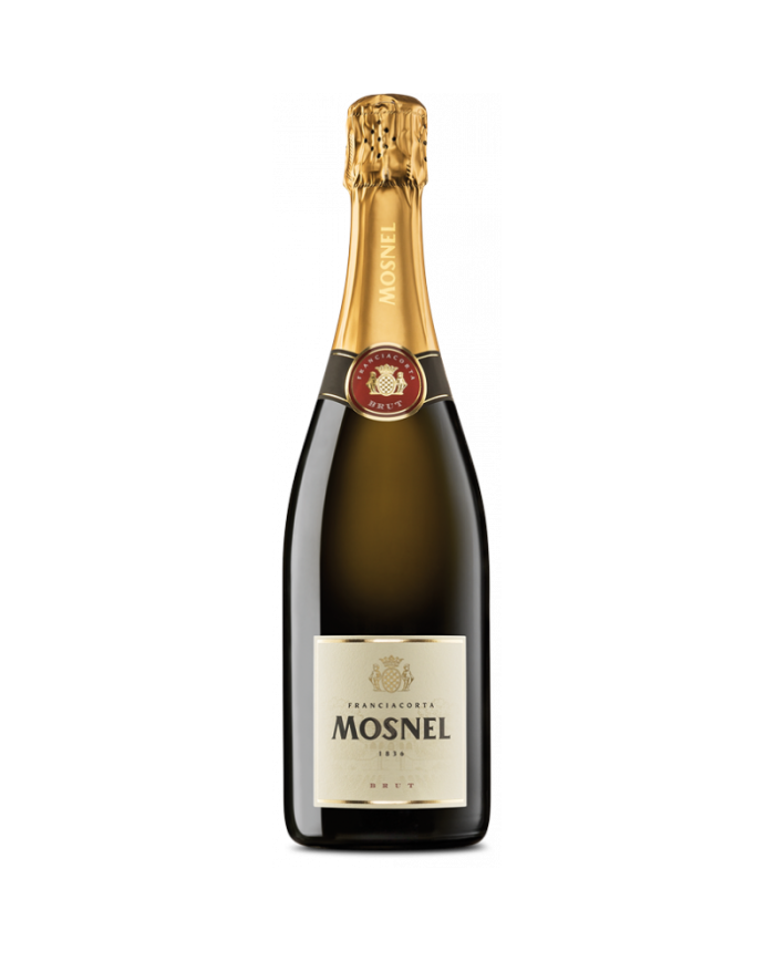 Schaumweine  Franciacorta Brut DOCG - Mosnel 22,25 €