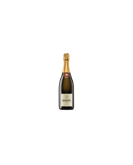 Schaumweine  Franciacorta Brut DOCG - Mosnel 22,25 €