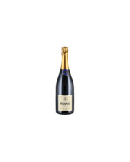 Schaumweine  Franciacorta Pas Dosé DOCG - Mosnel 24,52 €