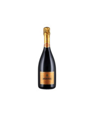 Schaumweine  Franciacorta Rosé Pas Dosé Parosé DOCG - Mosnel 44,30 €