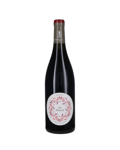 Vini Rossi  Oltrepò Pavese Pinot Nero DOC Vigneto La Fiocca 2019 - Piccolo Bacco dei Quaroni 12,70 € Vini Rossi  Oltrepò Pavese Pinot Nero DOC Vigneto La Fiocca 2019 - Piccolo Bacco dei Quaroni 12,70 €