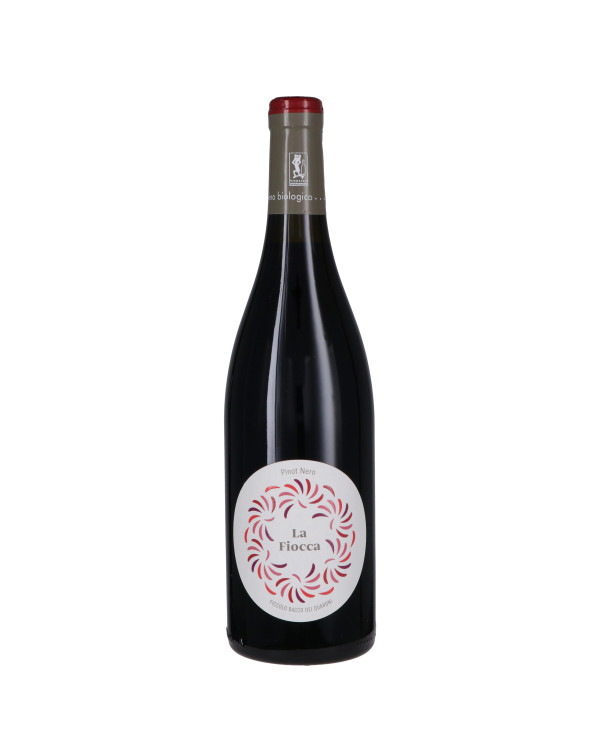 Vini Rossi  Oltrepò Pavese Pinot Nero DOC Vigneto La Fiocca 2019 - Piccolo Bacco dei Quaroni 12,70 â‚¬ Vini Rossi  Oltrepò Pavese Pinot Nero DOC Vigneto La Fiocca 2019 - Piccolo Bacco dei Quaroni 12,70 â‚¬