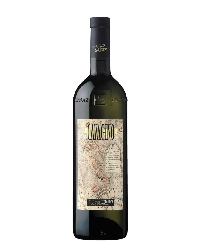 Vini Bianchi  Cavagino Vermentino Colli di Luni DOC 2022 - Lunae Bosoni 21,80 €