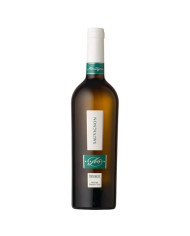 Witte Wijnen  Sauvignon Trevenezie IGT 2021 – Montagner 5,60 €
