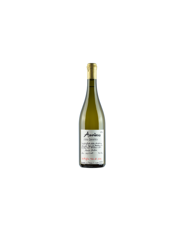 White wines  Ammàno Bianco Bio 2022 - Cantine Barbera 22,13 €