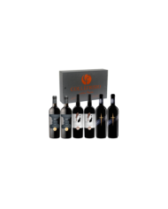 Red Wines  Degustazione Collefrisio: Confronto Vino Rosso – In & Out Montepulciano d’Abruzzo DOC – Primitivo IGP – Collefrisi...