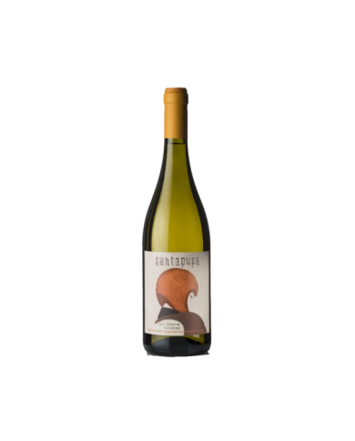 Vini Bianchi  SantaPupa Colli Aprutini IGP Pecorino 2023 - Vini la Quercia 8,61 â‚¬ Vini Bianchi  SantaPupa Colli Aprutini IGP Pecorino 2023 - Vini la Quercia 8,61 â‚¬