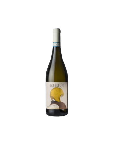 Home  SantaPupa Abruzzo DOP Passerina Superiore 2023 - Vini la Quercia 8,61 â‚¬ Home  SantaPupa Abruzzo DOP Passerina Superiore 2023 - Vini la Quercia 8,61 â‚¬