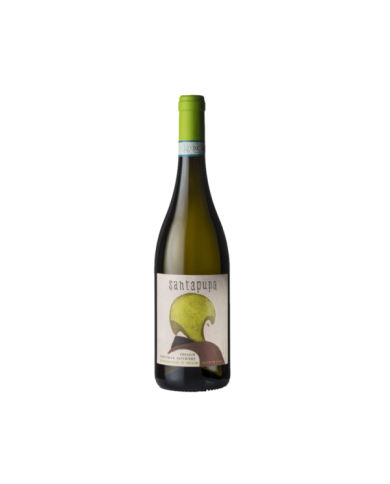Home  SantaPupa Abruzzo DOP Montonico Superiore 2023 - Vini la Quercia 9,17 â‚¬ Home  SantaPupa Abruzzo DOP Montonico Superiore 2023 - Vini la Quercia 9,17 â‚¬