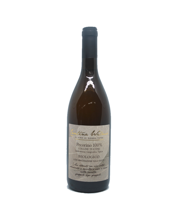 White wines  Pecorino Colline Teatine IGT 2022 Biologico - Cantina Wilma 12,75 â‚¬ White wines  Pecorino Colline Teatine IGT 2022 Biologico - Cantina Wilma 12,75 â‚¬
