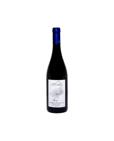 Witte Wijnen  Altair Traminer aromatico IGP Terre dell'Aquila 2019 - Castelsimoni 14,75 €
