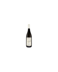 Witte Wijnen  Alba chiara Chardonnay IGP Terre dell'Aquila 2020 - Castelsimoni 19,04 €