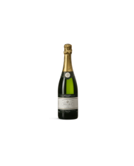 Vini Spumanti  Alta Langa Brut 2019 DOCG - Valter Bera 19,35 € Vini Spumanti  Alta Langa Brut 2019 DOCG - Valter Bera 19,35 €