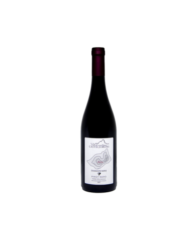Rode wijnen  Diamante nero Pinot nero IGP Terre dell'Aquila 2018 - Castelsimoni 23,66&nbsp;€