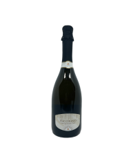 Vini Bianchi  Pecorino Spumante Brut - Casalbordino 6,50 €