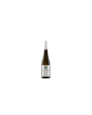 Witte Wijnen  Friulano Friuli Colli Orientali DOC 2022 - Valentino Butussi 12,70 €