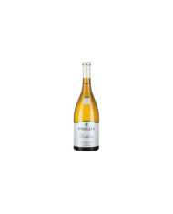 Vini Bianchi  Derthona Colli Tortonesi Timorasso DOC 2021 - Broglia 17,00 €