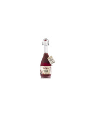 Distillati  Liquore con Fragoline e Grappa Le Ricette della Zia Mina - Francoli 22,54 €