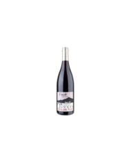 Vini Rossi  Contrada Feudo Etna Rosso DOC 2021 magnum - Girolamo Russo 103,68 € Vini Rossi  Contrada Feudo Etna Rosso DOC 2021 magnum - Girolamo Russo 103,68 €