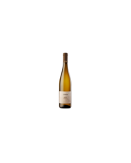 Witte Wijnen  Kerner vigneti delle Dolomiti IGT 2022 - Cembra Cantina di Montagna 14,10 â‚¬ Witte Wijnen  Kerner vigneti delle Dolomiti IGT 2022 - Cembra Cantina di Montagna 14,10 â‚¬