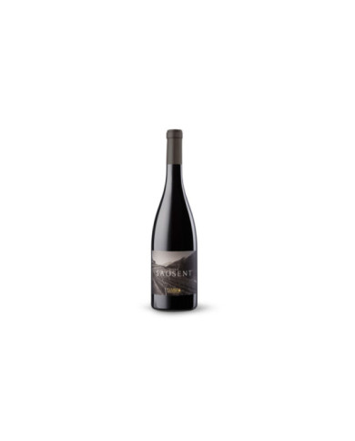 White wines  Pinot Nero Vigna Saosent Trentino DOC 2016 - Cembra Cantina di Montagna 17,90 € White wines  Pinot Nero Vigna Saosent Trentino DOC 2016 - Cembra Cantina di Montagna 17,90 €