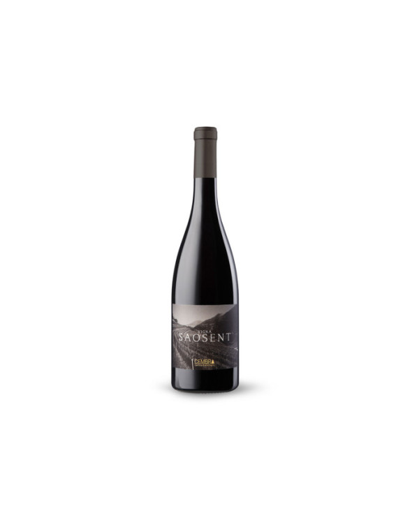 White wines  Pinot Nero Vigna Saosent Trentino DOC 2016 - Cembra Cantina di Montagna 17,90 â‚¬ White wines  Pinot Nero Vigna Saosent Trentino DOC 2016 - Cembra Cantina di Montagna 17,90 â‚¬
