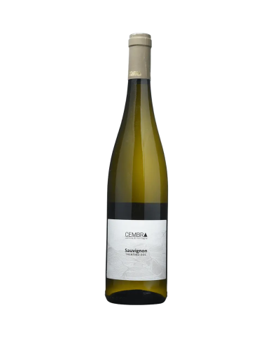 White wines  Sauvignon Trentino DOC 2022 - Cembra Cantina di Montagna 12,60 € White wines  Sauvignon Trentino DOC 2022 - Cembra Cantina di Montagna 12,60 €