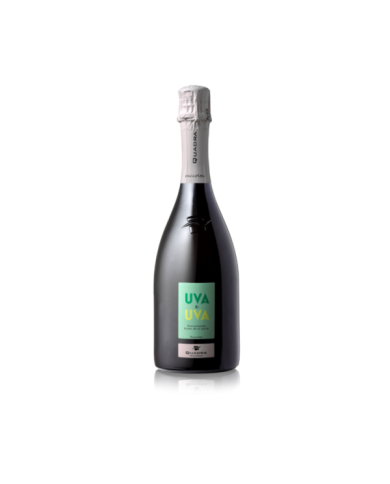 Vini Bianchi  Franciacorta DOCG Extra Brut UVAeUVA 2016 - Quadra 31,00 € Vini Bianchi  Franciacorta DOCG Extra Brut UVAeUVA 2016 - Quadra 31,00 €