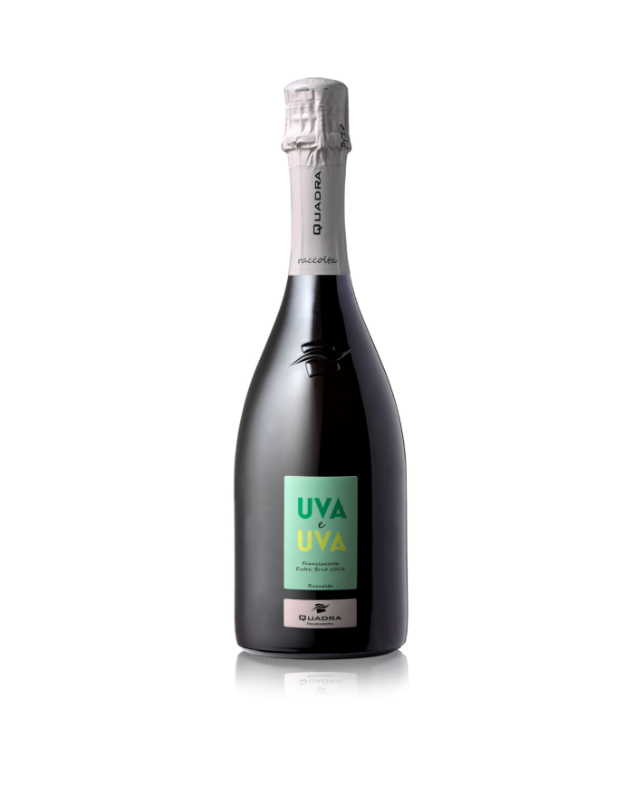 Witte Wijnen  Franciacorta DOCG Extra Brut UVAeUVA 2016 - Quadra 31,00 â‚¬ Witte Wijnen  Franciacorta DOCG Extra Brut UVAeUVA 2016 - Quadra 31,00 â‚¬