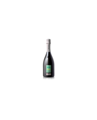Witte Wijnen  Franciacorta DOCG Extra Brut UVAeUVA 2016 - Quadra 31,00 â‚¬ Witte Wijnen  Franciacorta DOCG Extra Brut UVAeUVA 2016 - Quadra 31,00 â‚¬