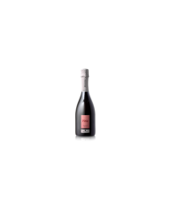 Witte Wijnen  Franciacorta DOCG Pìné Extrabrut riserva 2012 - Quadra 33,20 â‚¬ Witte Wijnen  Franciacorta DOCG Pìné Extrabrut riserva 2012 - Quadra 33,20 â‚¬