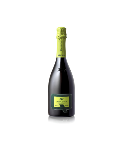 Vini Bianchi  Franciacorta DOCG Vegan Brut - Quadra 22,10 € Vini Bianchi  Franciacorta DOCG Vegan Brut - Quadra 22,10 €