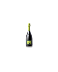 Witte Wijnen  Franciacorta DOCG Vegan Brut - Quadra 22,10 â‚¬ Witte Wijnen  Franciacorta DOCG Vegan Brut - Quadra 22,10 â‚¬