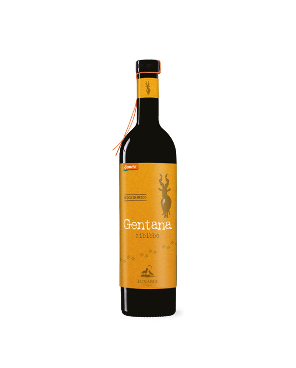 Vini Bianchi  Gentana Zibibbo Terre Siciliane IGP 2024 Lunaria - Cantina Orsogna 11,36 €