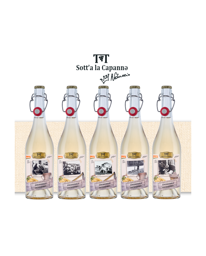 Witte Wijnen  Sott'a la capanna Cococicola 2022 - Cantina Orsogna 10,66 €