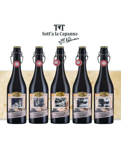 Vini Rossi  Sott'a la capanna Montepulciano d'Abruzzo DOP 2019 - Cantina Orsogna 9,95 € Vini Rossi  Sott'a la capanna Montepulciano d'Abruzzo DOP 2019 - Cantina Orsogna 9,95 €