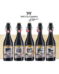 Rode wijnen  Sott'a la capanna Montepulciano d'Abruzzo DOP 2019 - Cantina Orsogna 9,95 €