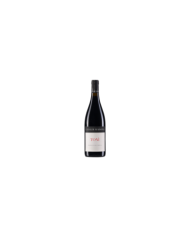 Red Wines  Tonì Montepulciano d’Abruzzo DOC 2018 - Cataldi Madonna 35,00 €