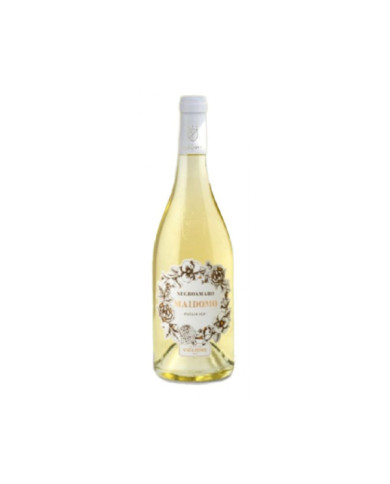 Vini Bianchi  Maidomo Negroamaro Bianco Puglia IGP BIO 2022 - Tenuta Viglione 10,90 € Vini Bianchi  Maidomo Negroamaro Bianco Puglia IGP BIO 2022 - Tenuta Viglione 10,90 €
