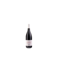 Vini Rossi  PETRINO Terre di Chieti Rosso IGT 2019 - Paolucci 8,20 €