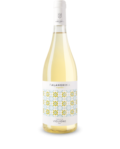 Vini Bianchi  Falanghina Puglia IGP 2023 - Tenuta Viglione 8,00 € Vini Bianchi  Falanghina Puglia IGP 2023 - Tenuta Viglione 8,00 €
