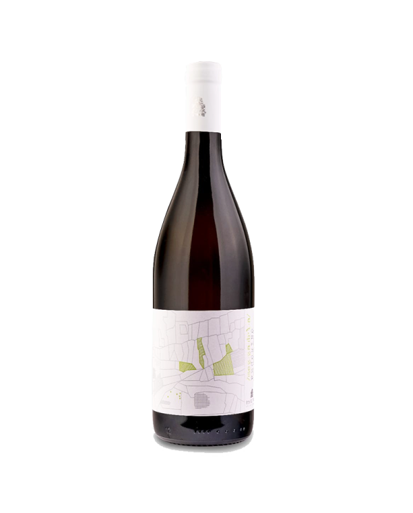 Witte Wijnen  MEZZADRIA Pecorino IGT Terre di Chieti 2021 - Paolucci 7,79 €