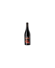 Vini Rossi  Sagros Montepulciano d'Abruzzo DOC 2018 - Paolucci 13,03 â‚¬ Vini Rossi  Sagros Montepulciano d'Abruzzo DOC 2018 - Paolucci 13,03 â‚¬