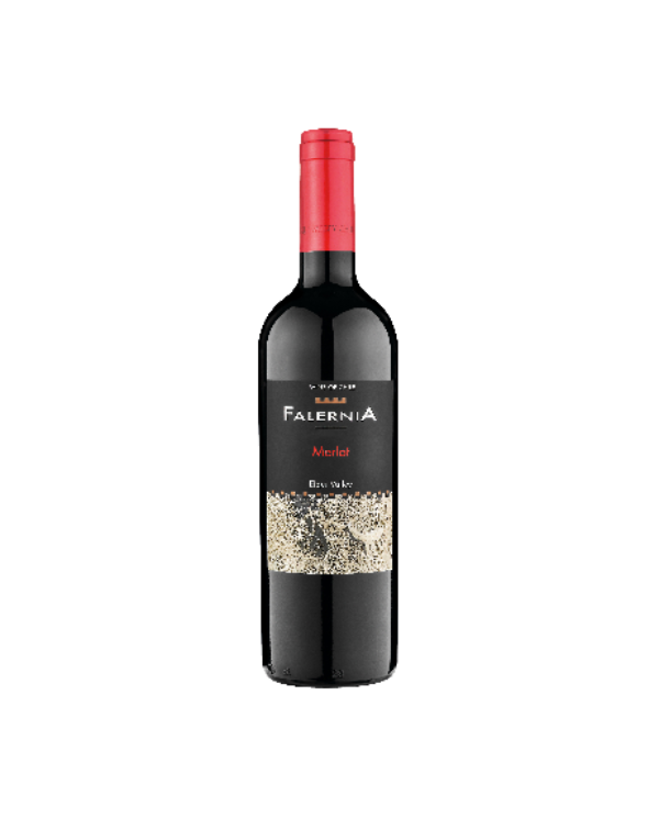 Rode wijnen  Merlot Reserva D.O. Elqui Valley 2019 - Viña Falernia 10,60 â‚¬ Rode wijnen  Merlot Reserva D.O. Elqui Valley 2019 - Viña Falernia 10,60 â‚¬