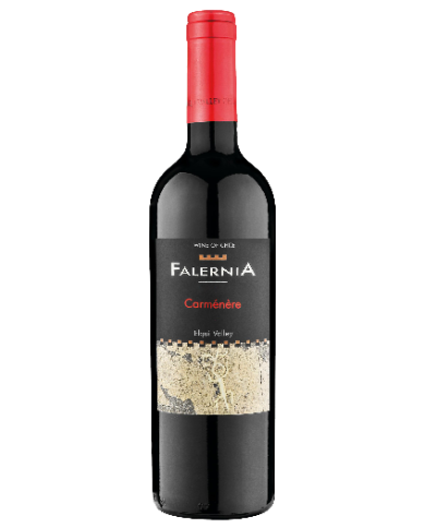Red Wines  Carmenere Reserva D.O. Elqui Valley 2019 - Viña Falernia 10,88 €