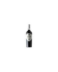 Vini Rossi  Montepulciano d’Abruzzo DOP 2019 - Terzini 16,10 â‚¬ Vini Rossi  Montepulciano d’Abruzzo DOP 2019 - Terzini 16,10 â‚¬