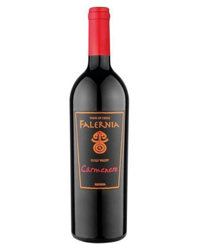 Red Wines  Carmenere Gran Reserva D.O. Elqui Valley 2020 - Viña Falernia 17,12 €